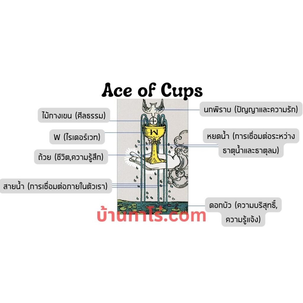 ความหมายไพ่ยิปซี Ace of Cups