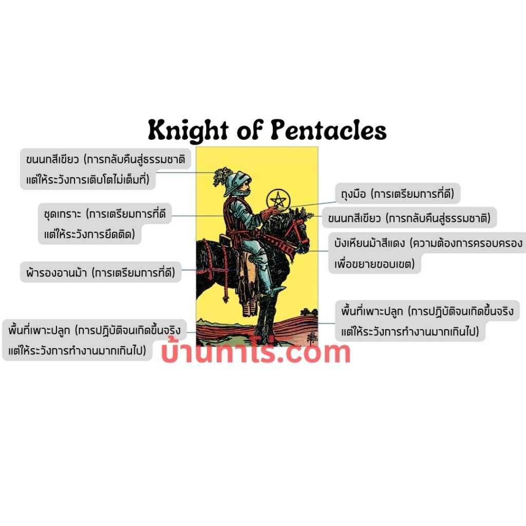 ความหมายไพ่ยิปซี Knight of Pentacles