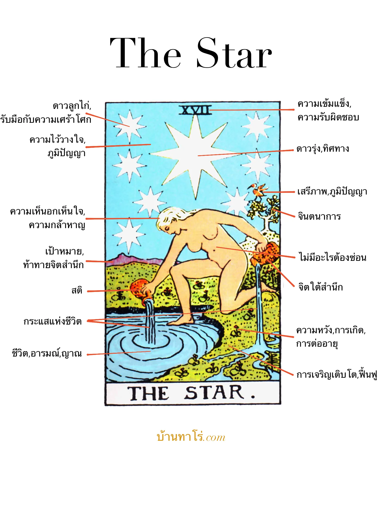 ความหมายไพ่ The Star ธรรมชาติทั้งปวง