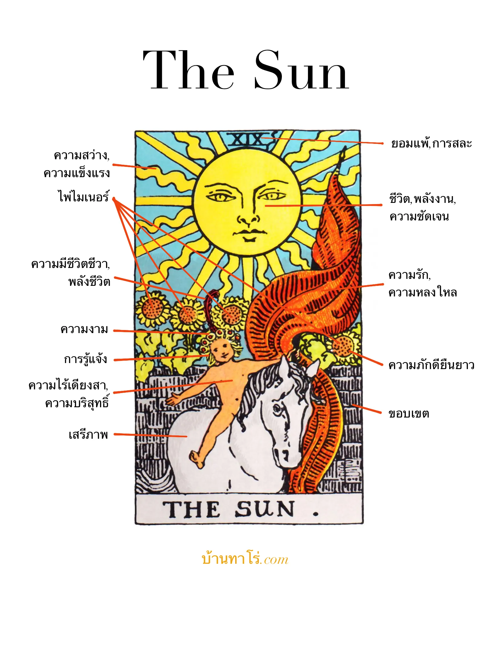 ความหมายไพ่ The Sun การรวบรวม