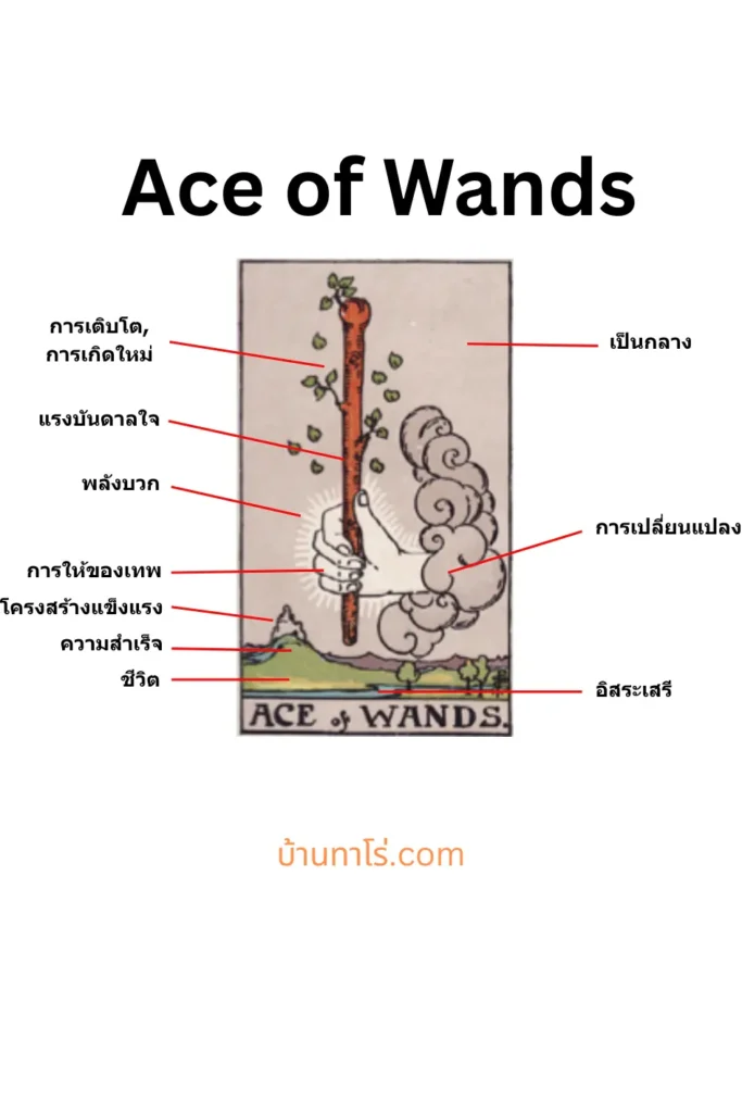 ความหมายไพ่ยิปซี Ace of Wands